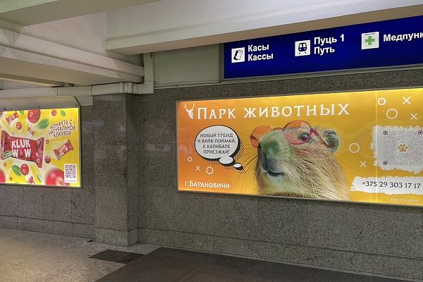 Лайтпостеры (лайтбоксы) на ЖД вокзале